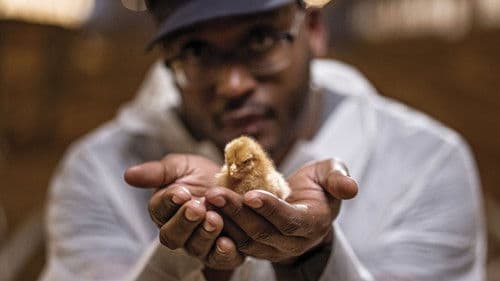 Human Footprint Bild 7