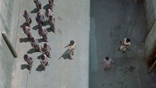 Lost in the Stars Bild 3