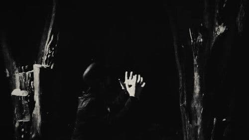 Necromancer: Part 2 Bild 1