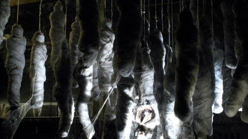 Webs - Armee der Besessenen Bild 3