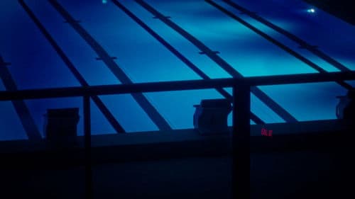 Le Rendez-vous de l'été Bild 7