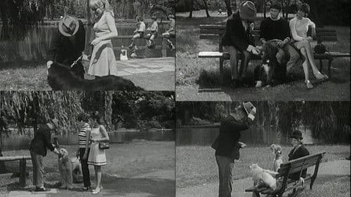 Alle Hunde lieben Theobald Bild 1