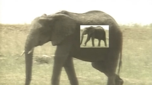 アフリカ動物パズル Bild 7