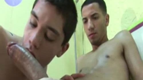 Miami Spice 2 Bild 3