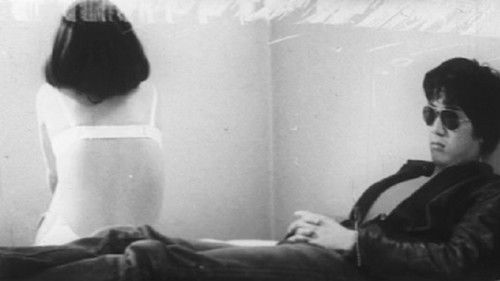 毛の生えた拳銃 Bild 2