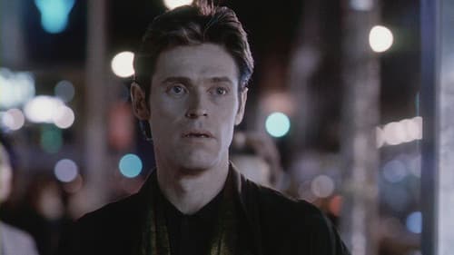 Light Sleeper Bild 2