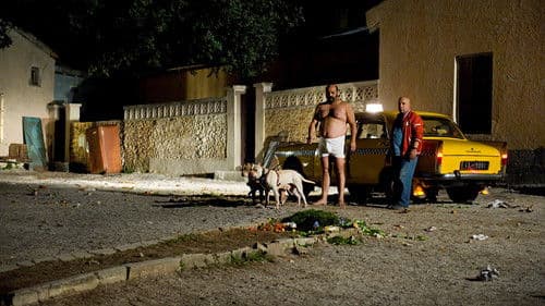 باستاردو Bild 1