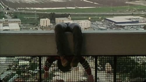 סוסי ים Bild 1