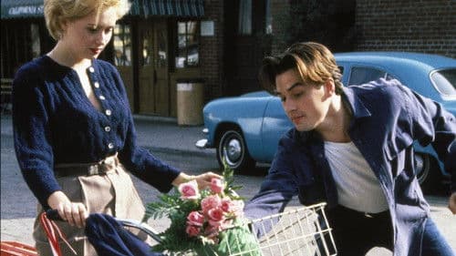 Wilde Orchidee 2 Bild 5