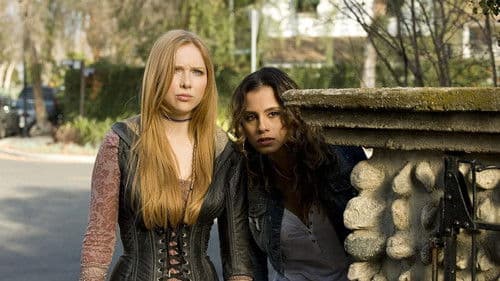 Hänsel und Gretel - Black Forest Bild 8