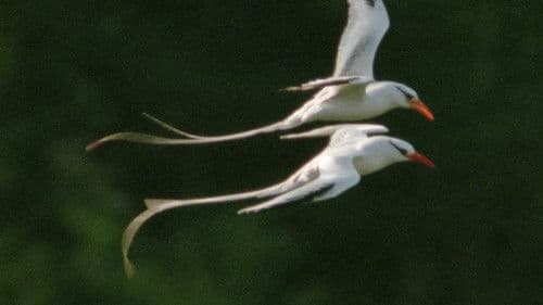 Trials of Life Bild 1