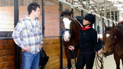 Mein Pferd Holly Bild 4