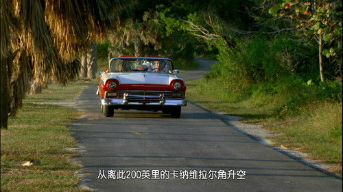 Seeing in the Dark Bild 1