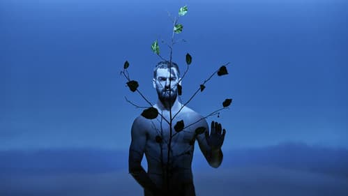 Adam's Passion Bild 4