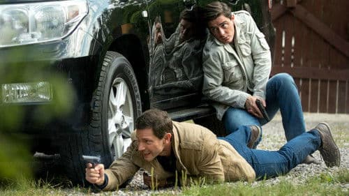 Реализация Bild 4