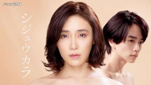 シジュウカラ Bild 2