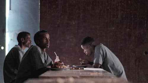 Will My Parents Come to See Me Bild 1