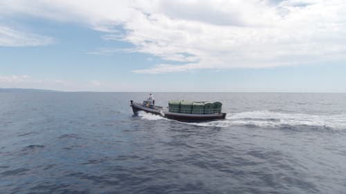 Matter Out of Place Bild 1