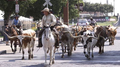 Adventures of Bailey: A Night in Cowtown Bild 1