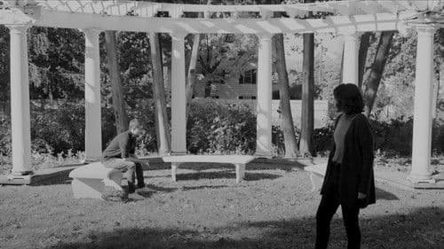 Hide the Bullets from the Gun Bild 1