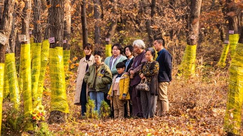 Move the Grave Bild 1