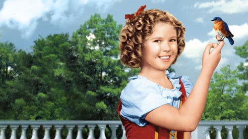 The Blue Bird Bild 7