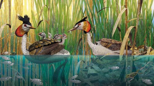 Bonjour le monde ! Bild 3