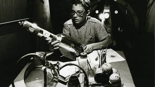 Lammas all paremas nurgas Bild 3