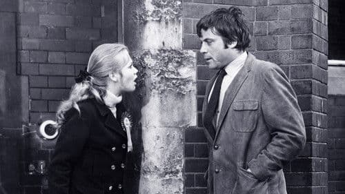 Take a Girl Like You Bild 6