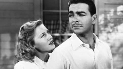 The Invisible Wall Bild 5