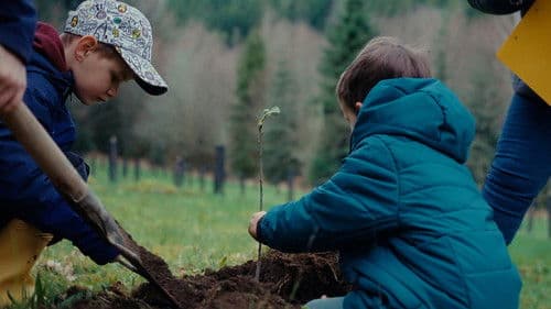 Retten Bäume den Planeten Bild 3