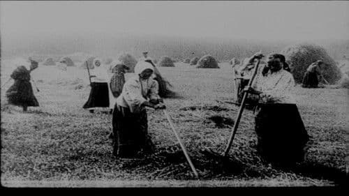 Кино-Правда № 17 Bild 1