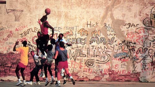Michael Jordan's Playground Bild 1