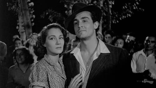 Bitterer Reis Bild 5