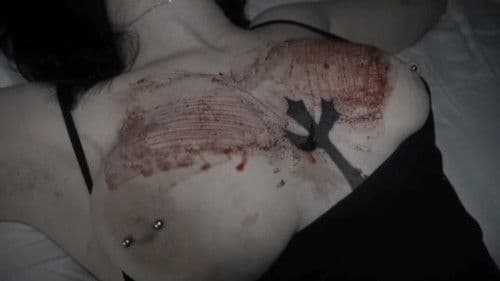 Dolls are Meant to be Trash Bild 3