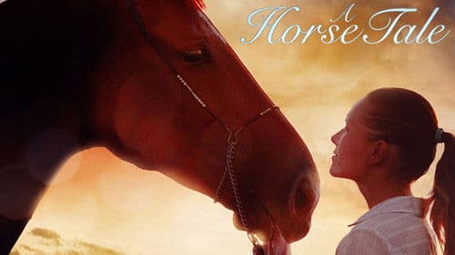 Mein Pferd Holly Bild 6