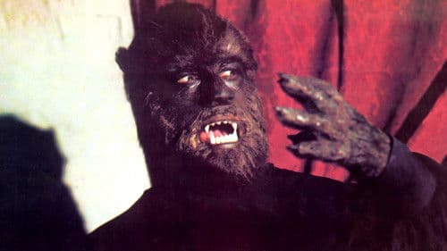 Die Todeskralle des grausamen Wolfes Bild 1