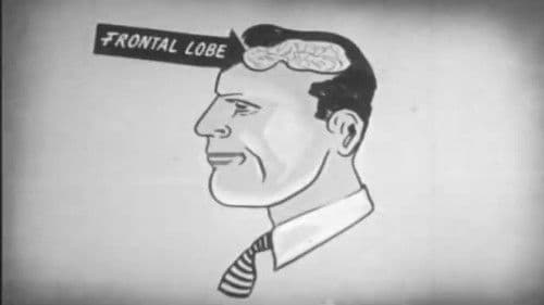 Alcohol Is Dynamite Bild 1