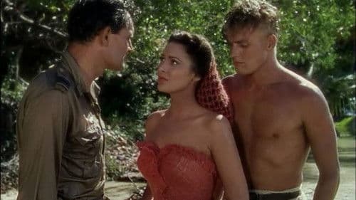 Insel der Verheißung Bild 3