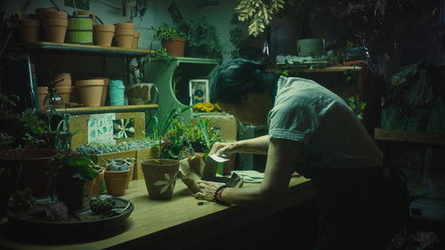 In Full Bloom Bild 1