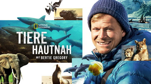 Tiere hautnah mit Bertie Gregory Bild 7