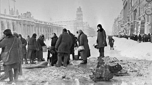 Leningrad. Stimmen einer belagerten Stadt Bild 2