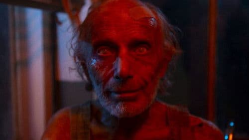 The Darkness of the Road Bild 1