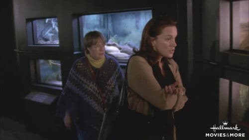 My Sister's Keeper Bild 2