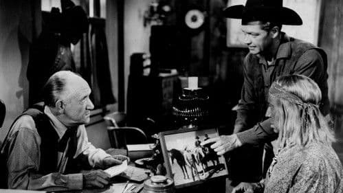 Gegen das Gesetz Bild 1