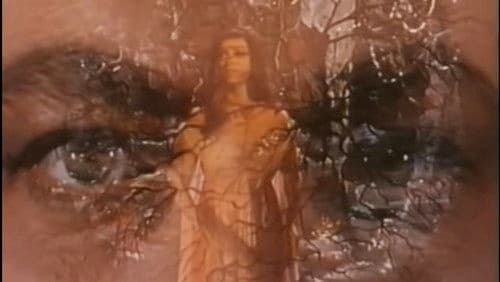 Herzog Blaubarts Burg Bild 1