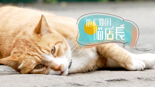 他和她的喵店长 Bild 1