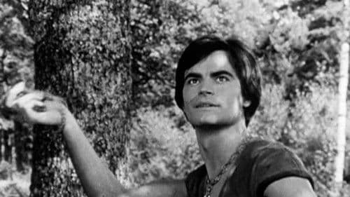 Thierry la Fronde Bild 1