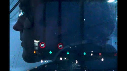 Taint Calico Blues Bild 8