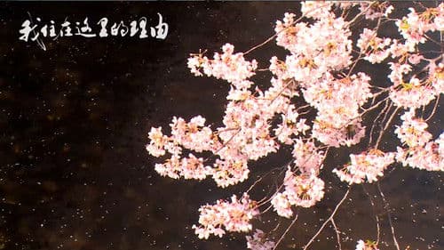 私はここに住む理由 Bild 1